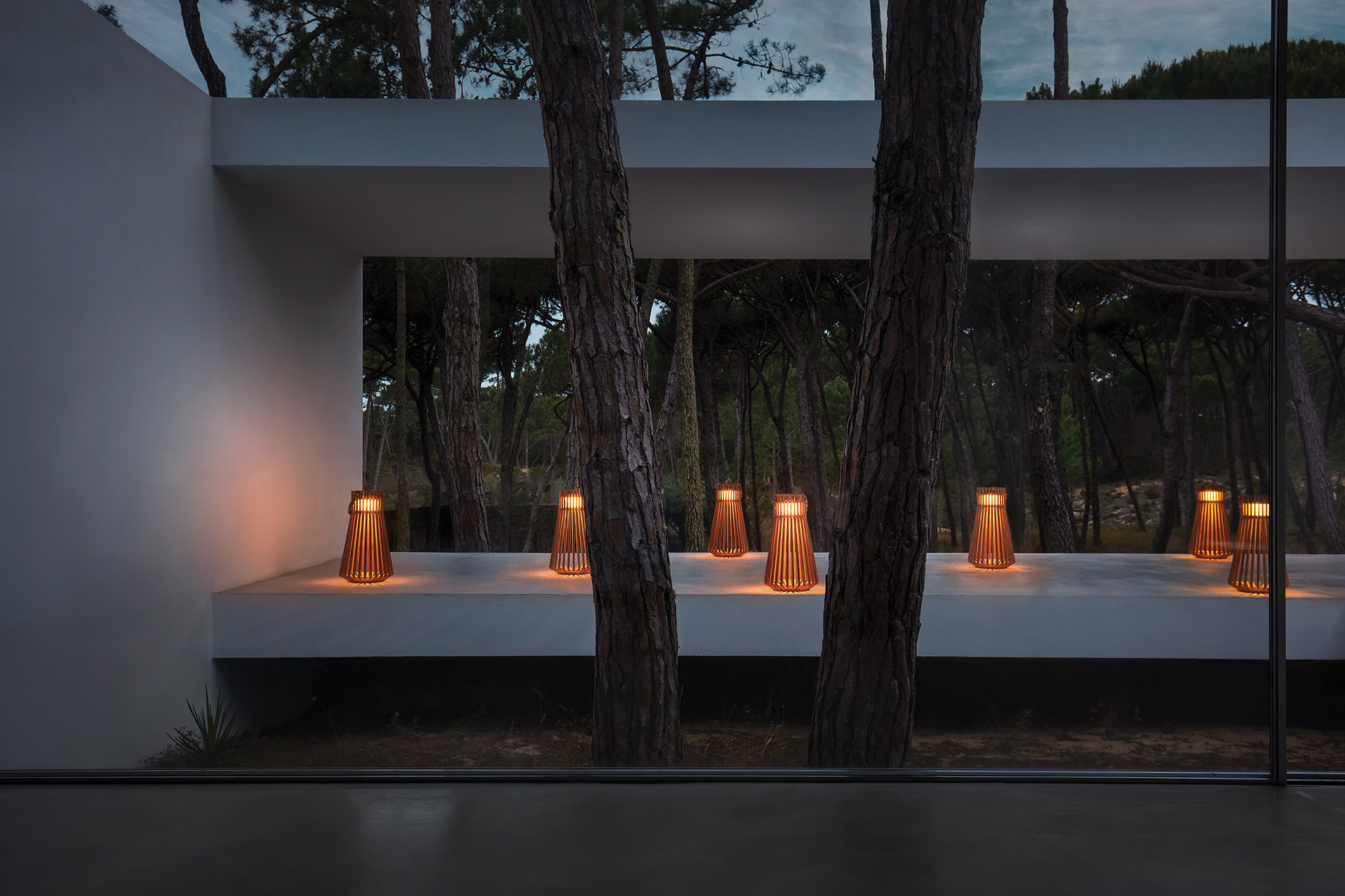 Ambient Collection - Image 6