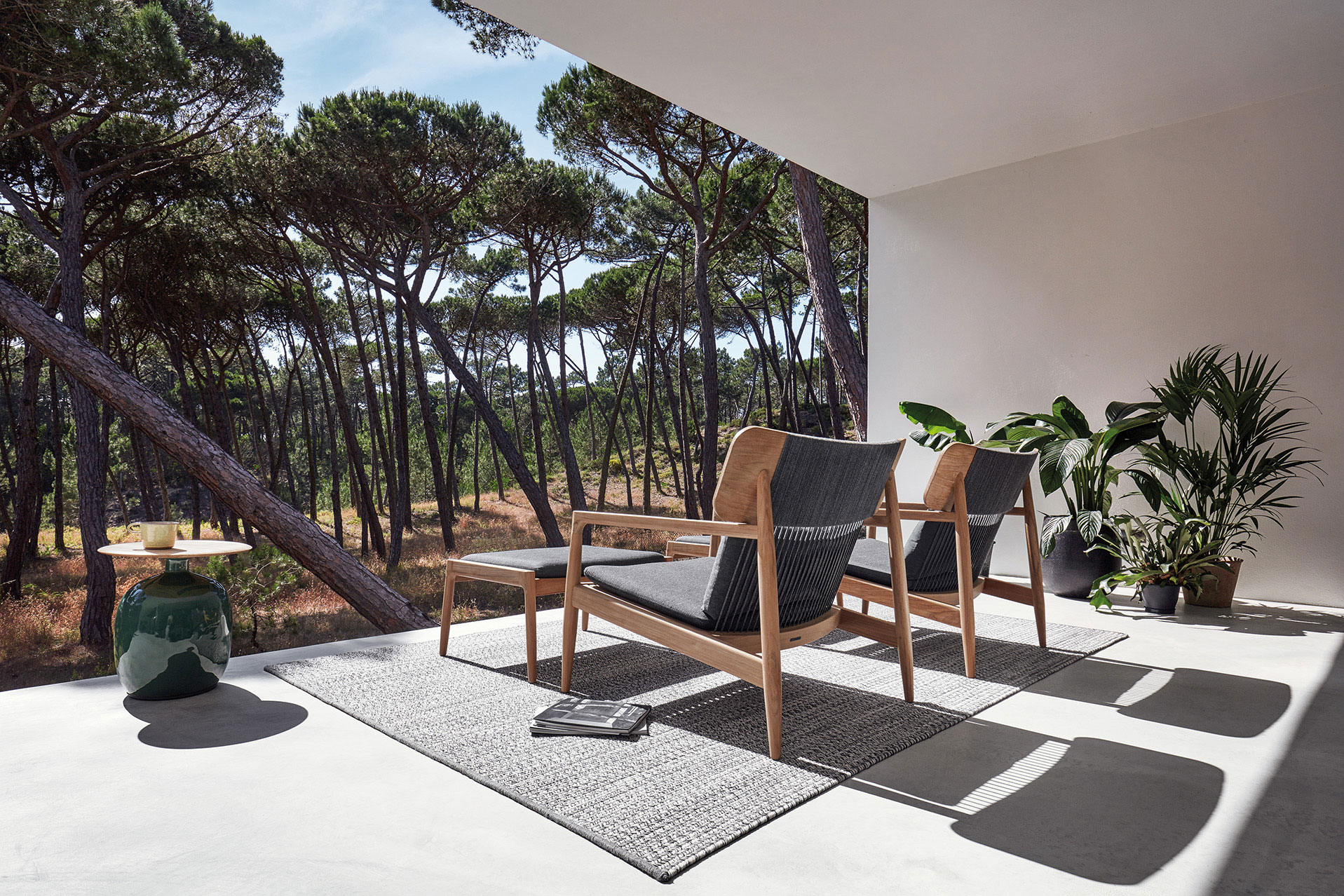 Archi Collection - Image 3