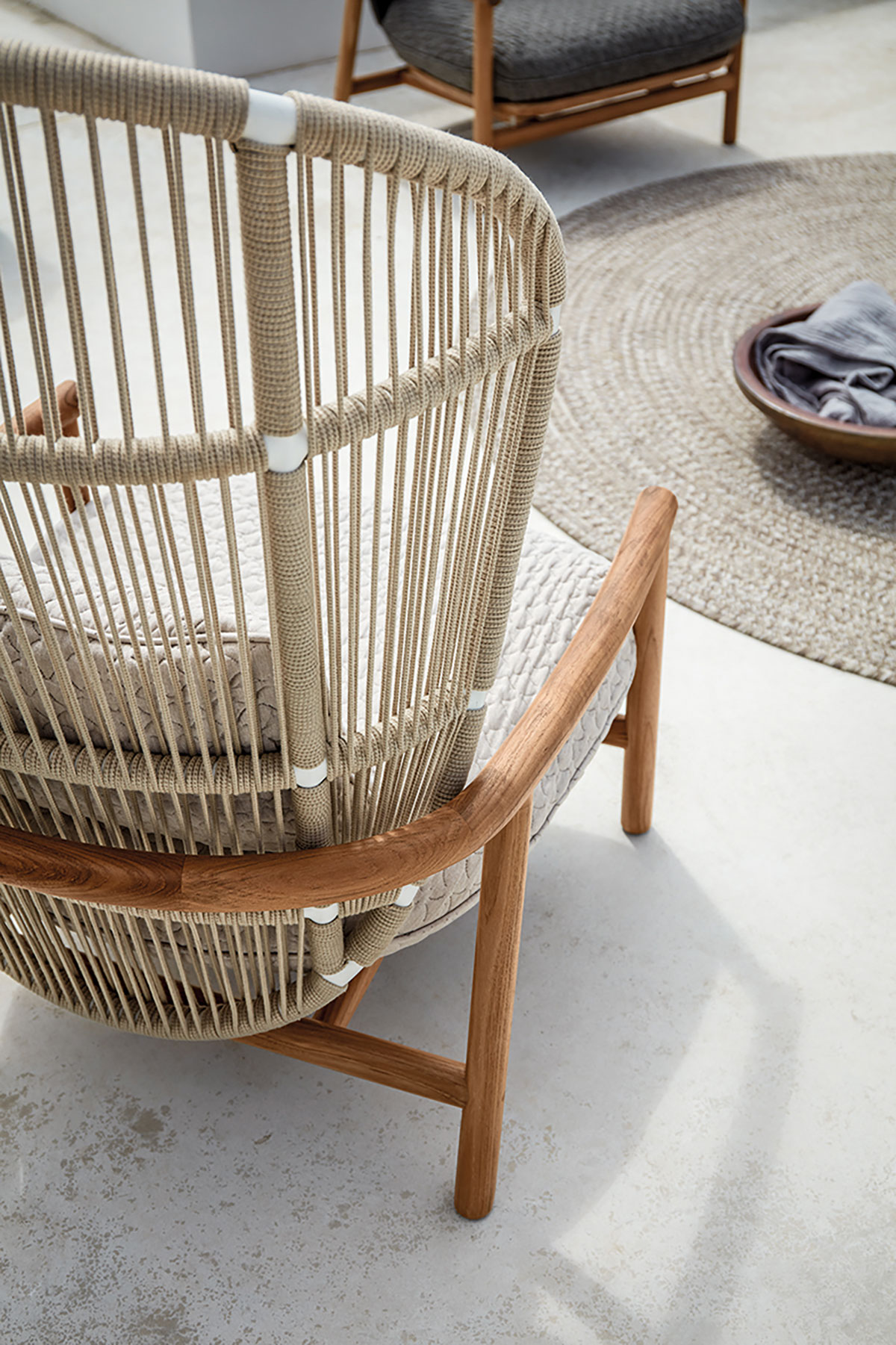 Fern Collection - Image 2