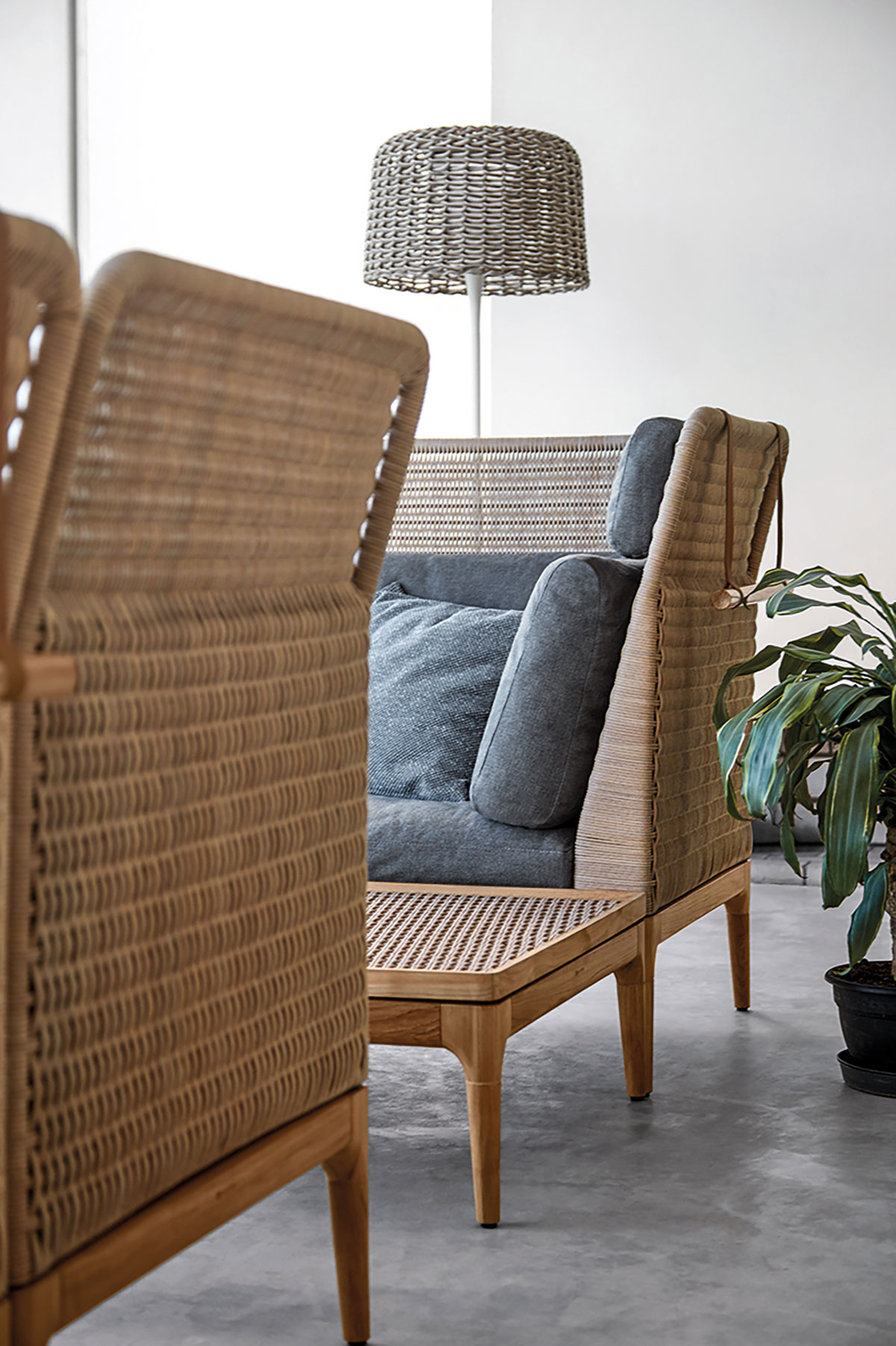 Lima Collection - Image 3