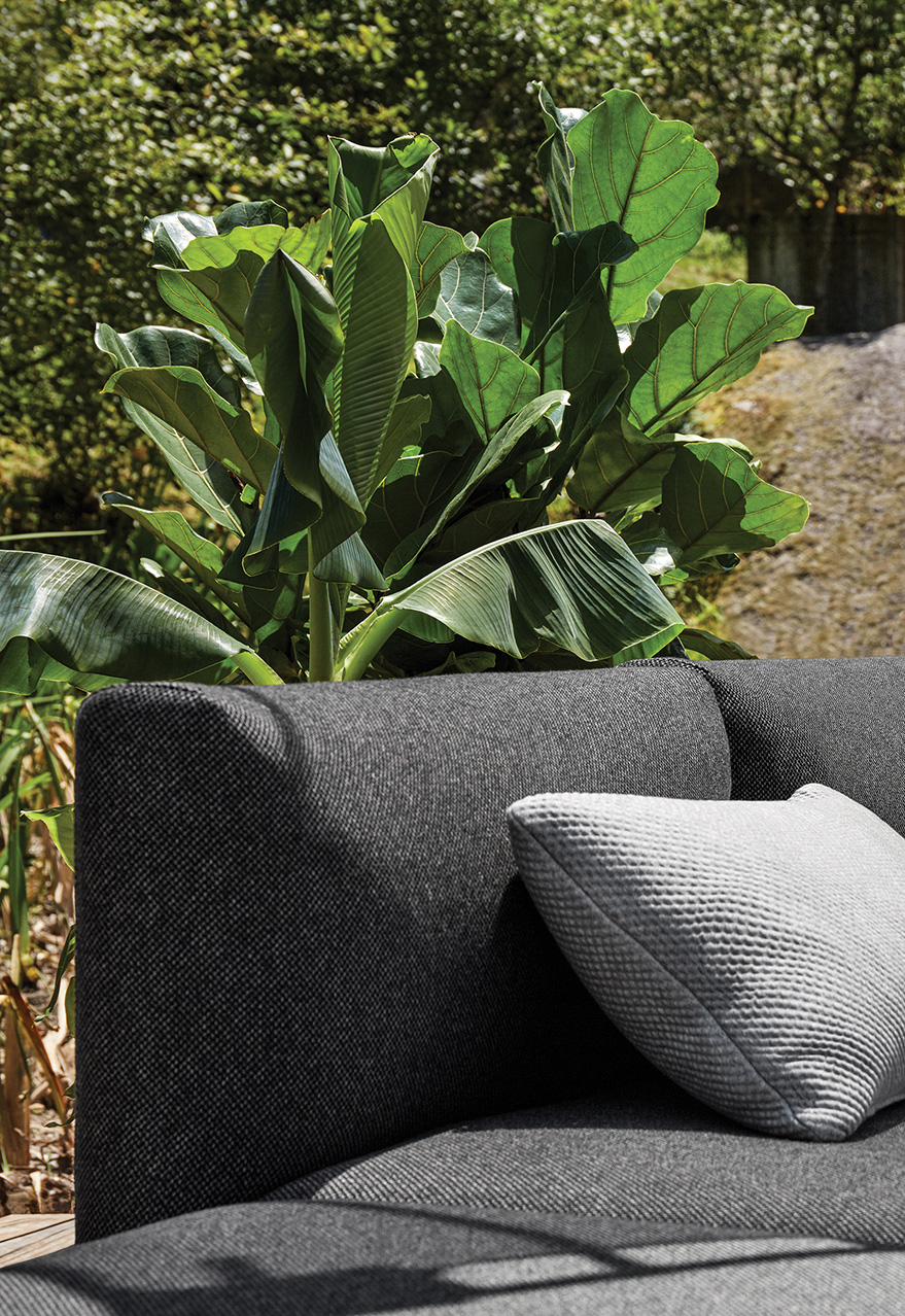 Maya Collection - Image 2