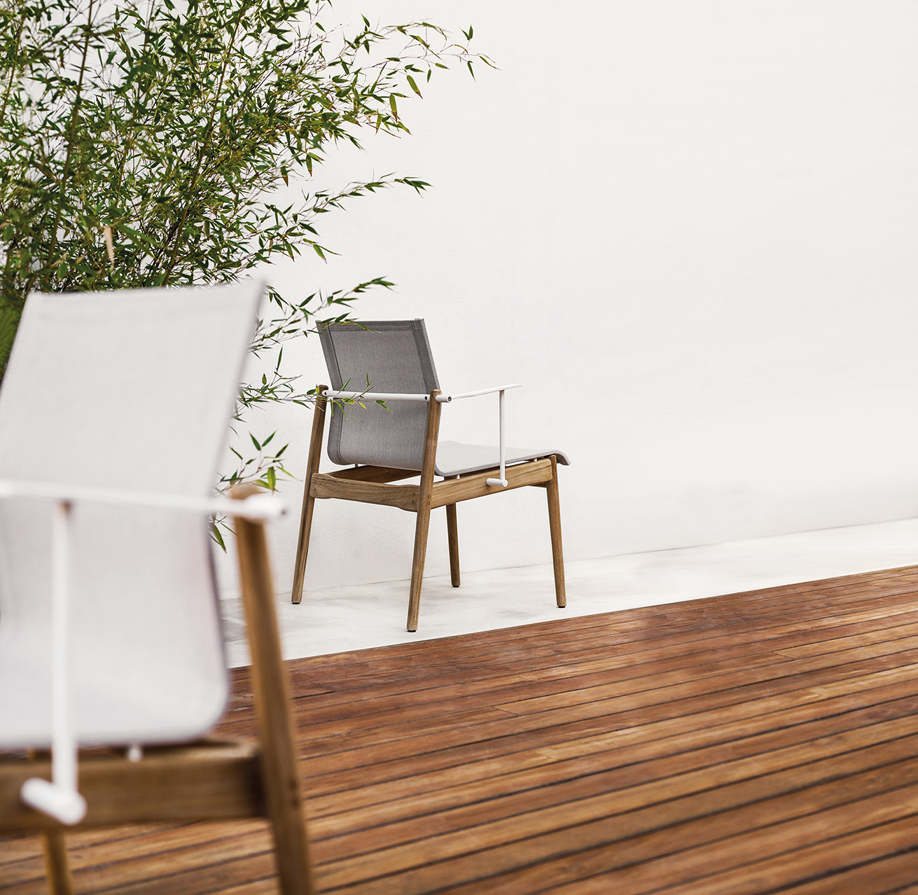 Sway Collection - Image 3